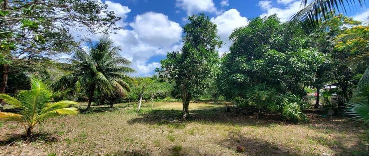 Foto de terreno habitacional en venta en  , aarón merino [colonia], bacalar, quintana roo, 0 No. 04